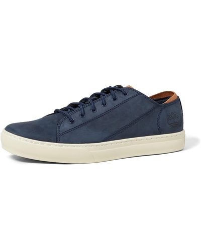 Timberland Sneaker Adv 2.0 Cupsole Modern Ox - Blau