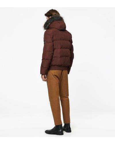 umbra down bomber