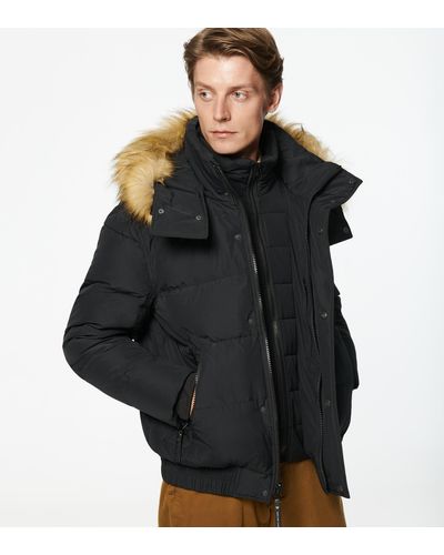umbra down bomber