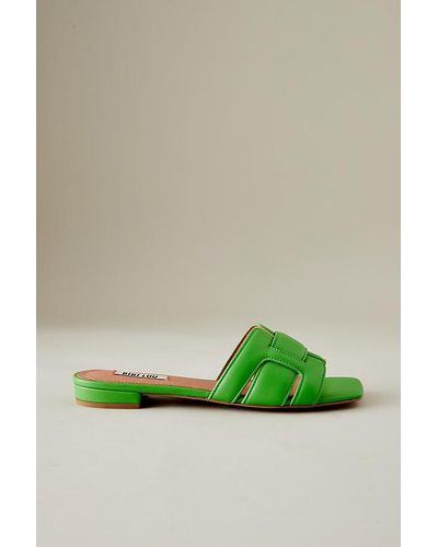 Bibi Lou Holly Leather Slide Sandals - Green