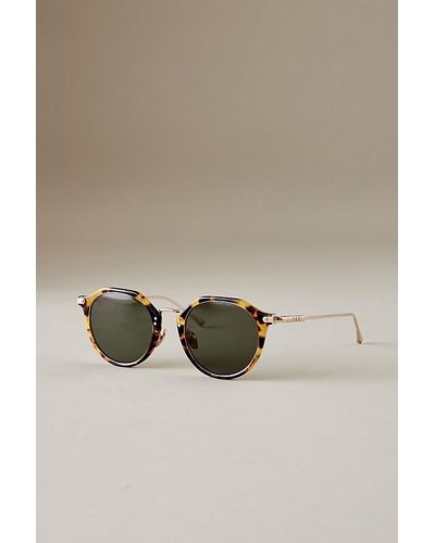 Taylor Morris Cambridge Sunglasses - Brown