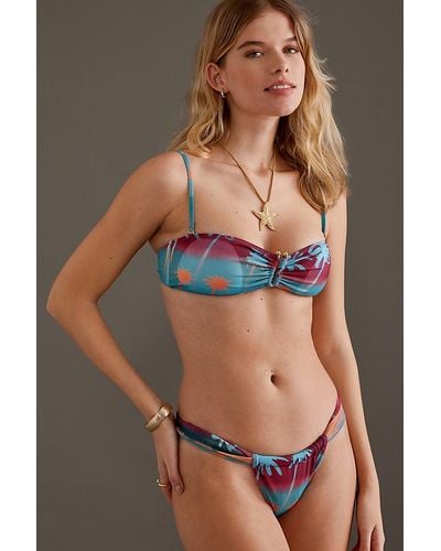Wild Lovers Havana Bikini Top - Multicolour