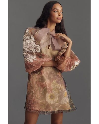 Pankaj & Nidhi Long-sleeve Printed Organza Mini Dress - Brown