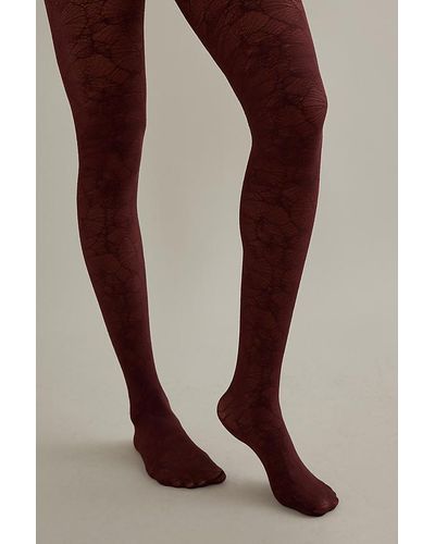 Swedish Stockings Alba Ginkgo Tights - Brown