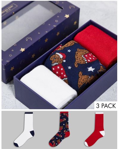 Chelsea Peers Kerstmi - Set Van 3 Paar Sokken Met Cockapoo Hond - Blauw