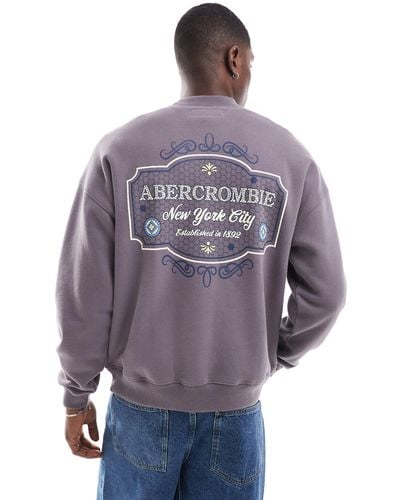Abercrombie & Fitch Front & Back Tile Embroid Logo Sweatshirt - Blue
