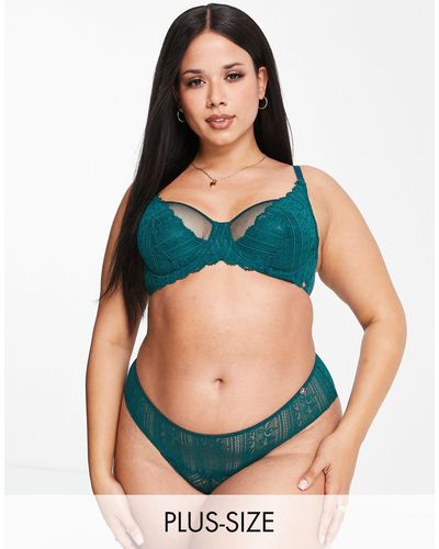 DORINA Curve Moss Lace And Mesh Non Padded Bra - Green