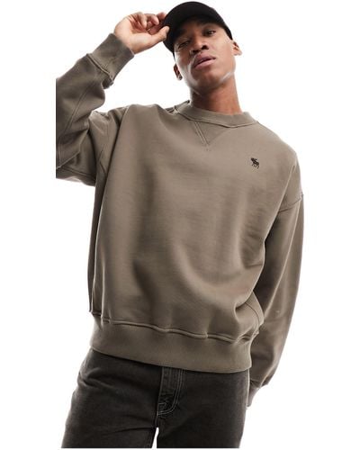 Abercrombie & Fitch Silicone Icon Logo Heavyweight Oversized Fit Sweatshirt - Brown