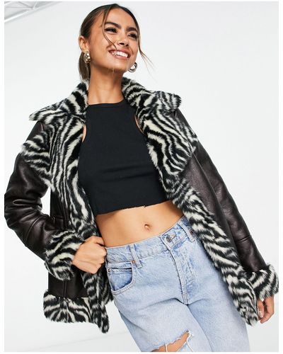 Miss Selfridge Zebra Faux Fur Contrast Aviator Jacket - Brown