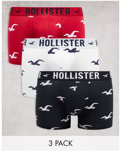 Hollister italia online deals