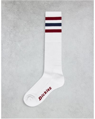 Dickies Lutak Socks - White