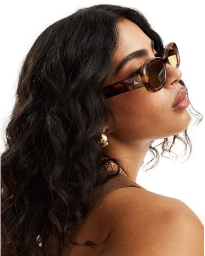 Aire Calisto Oval Sunglasses - Brown