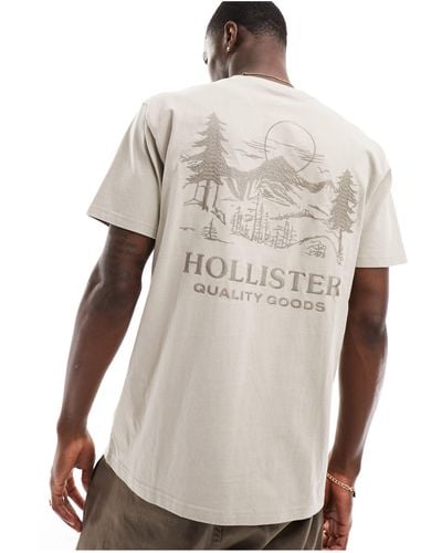 Hollister camisetas manga corta top