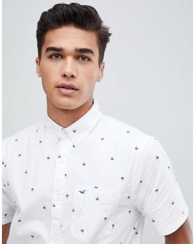 Hollister Slim Fit Short Sleeve Palm Tree Print Oxford Shirt With Button Down Collar In White