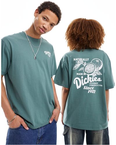 Dickies Raven Back Print T-shirt - Green