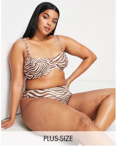 Ivory Rose Plus – ungepolstertes bikini-oberteil mit zebramuster - Mehrfarbig
