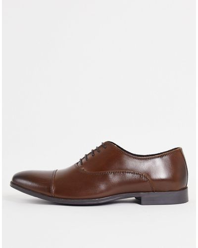 Schuh Rome Toe Cap Shoes - Brown