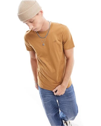Hollister T-shirt à logo emblématique - marron - Bleu