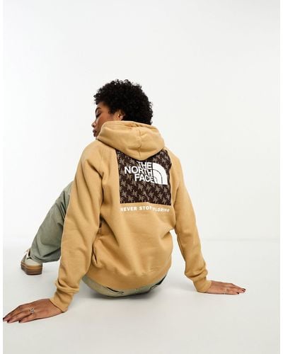 The North Face Nse Box Hoodie - Metallic