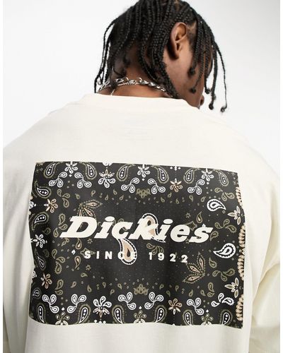 Dickies Reworked - t-shirt sporco con riquadro con motivo cachemire stampato sul retro - Grigio