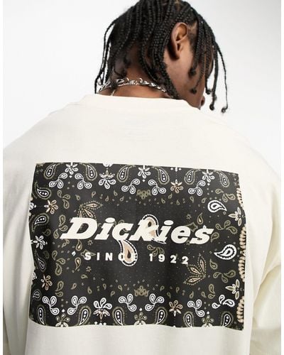 Dickies – reworked – t-shirt - Grau