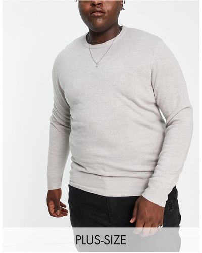 French Connection Plus Crew Neck Sweater - Gray