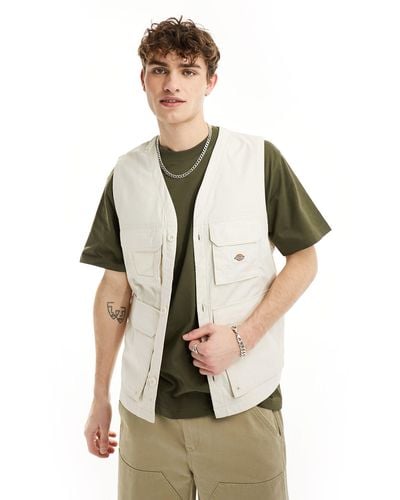 Dickies Chaleco color crema fisherville - Verde