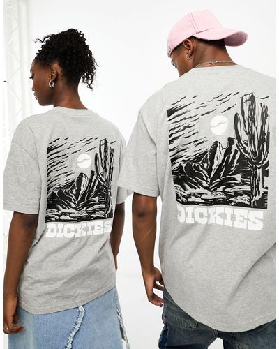 Dickies Rural Retreat Mountain Back Print T-shirt - Grey