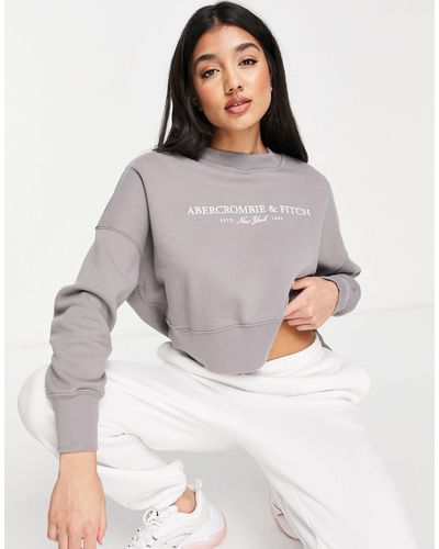 Abercrombie & Fitch Sweater Met Logo - Grijs