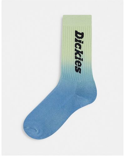 Dickies Seatac - chaussettes - Bleu