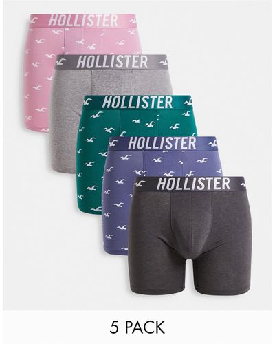 Hollister Pack - Gris