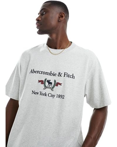 Abercrombie & Fitch Heritage Crest Logo T-shirt - White
