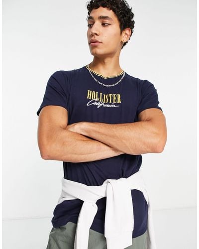 Hollister T-shirt Met Groot Tech-logo En Een Gekleurd Randje Aan - Blauw