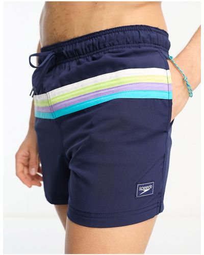 Speedo Colourblock Volley 14"" Watershorts With Stripes - Blue