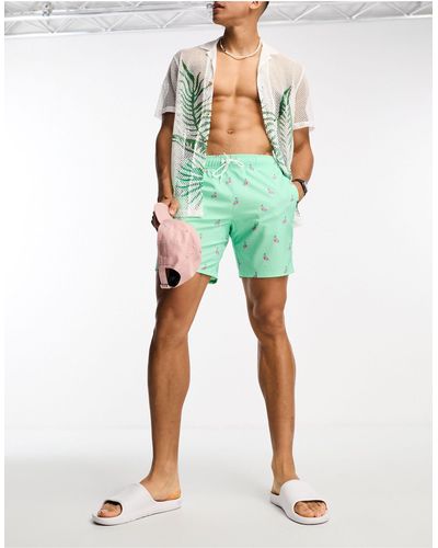 Hollister Guard - pantaloncini da bagno da 7" menta con stampa di fenicotteri e logo - Verde