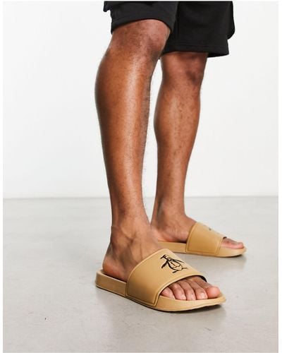 Penguin hotsell sandals mens