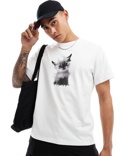 Weekday Toby Boxy Fit T-shirt With Kitten Graphic - White