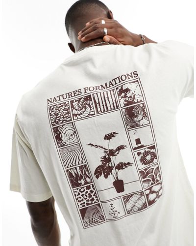 New Look Natures Formations Back Print T-shirt - Natural