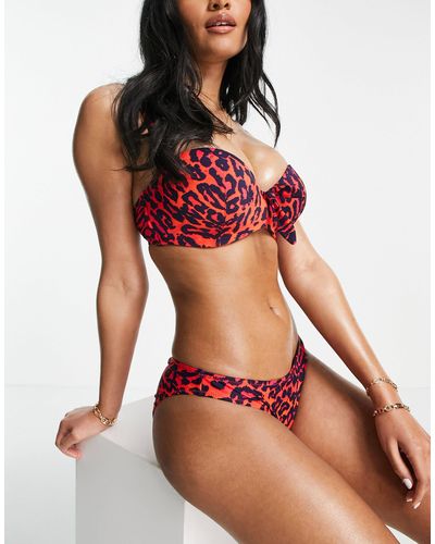 Pour Moi Coppe grandi - heatwave - top bikini con stampa animalier - Rosso