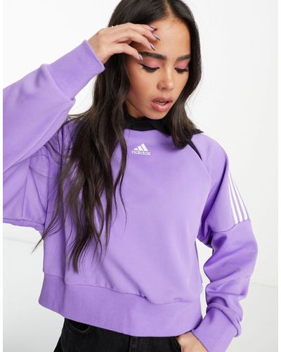 adidas Originals Adidas Sportswear House Of Tiro Sweatshirt With Collar - Purple