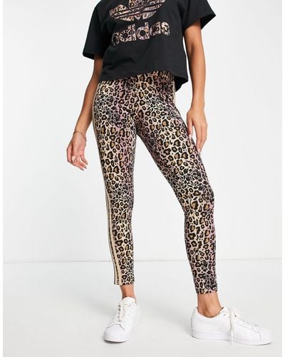 adidas Originals All Over Leopard Print leggings - Black