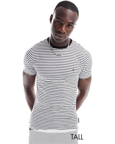 French Connection Tall Feeder Stripe T-shirt - White