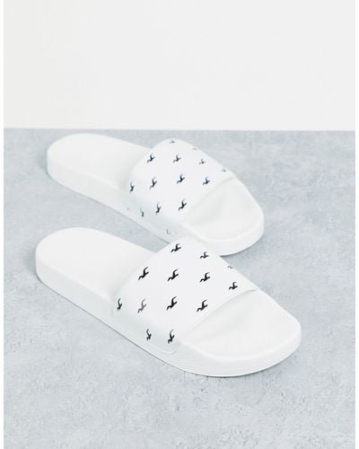 Hollister Sliders With All Over Logo - White