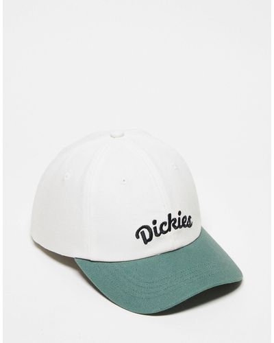 Dickies Keysville - cappellino sporco con visiera verde e logo centrale