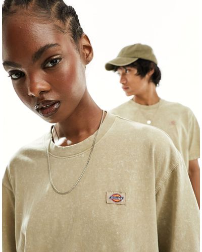 Dickies – newington – t-shirt - Natur