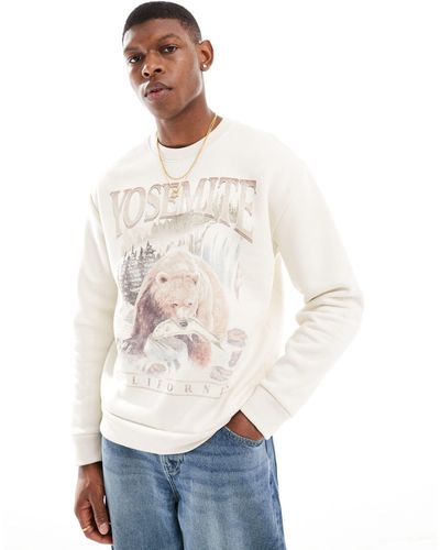 Hollister Relaxed Fit Bryce Canyon Chest Print Sweatshirt - White