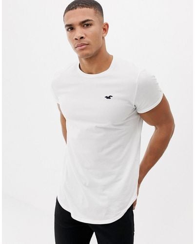Hollister Solid Curved Hem T-shirt Seagull Logo Slim Fit - White