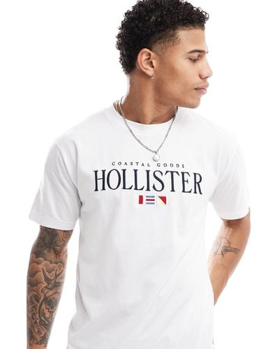 Hollister Coastal Tech Embroidered Logo Relaxed Fit T-shirt - White