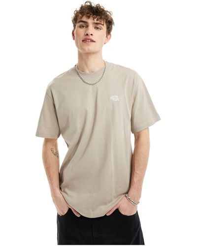 Dickies Summerdale - t-shirt a maniche corte color sabbia - Neutro