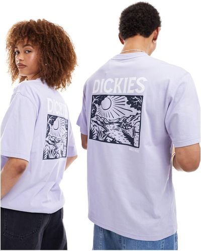 Dickies Patrick Springs Back Print T-shirt - Blue